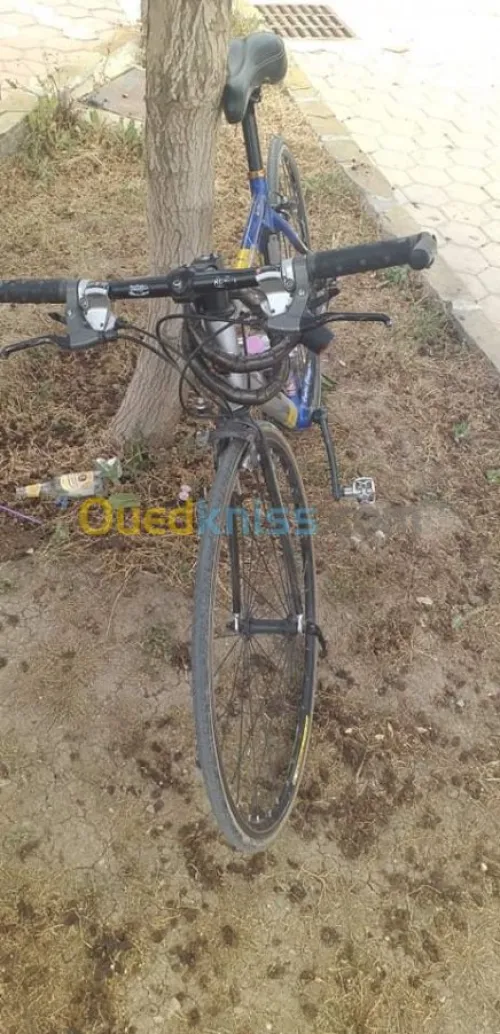 BICYCLETTE MARQUE BH