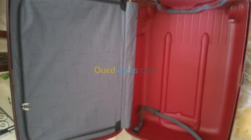 Grandes valises Samsonite Delsey