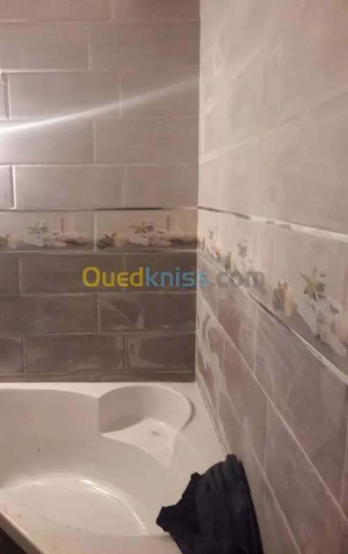 tous les travaux de la faïence et de 