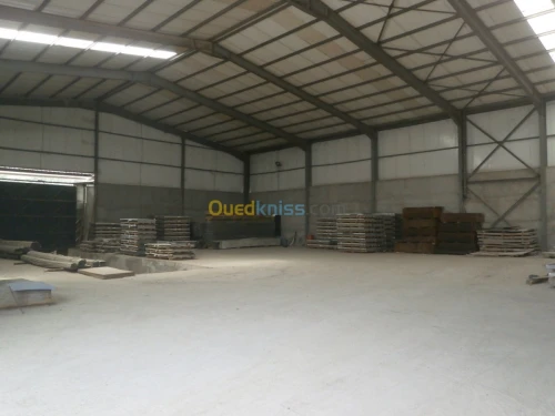 Location Hangar Tipaza Tipaza