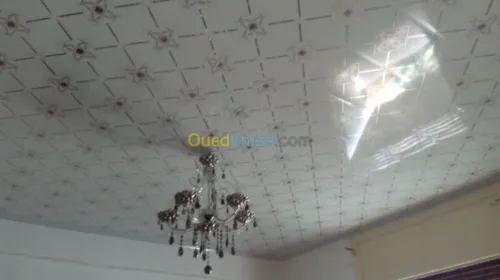 Faux plafond