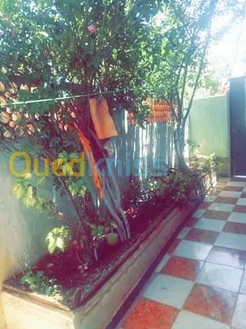 Location vacances Appartement F2 Ain temouchent Beni saf