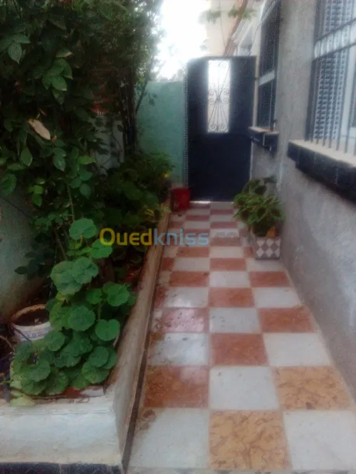 Location vacances Appartement F2 Ain temouchent Beni saf