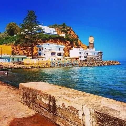 Location vacances Appartement F2 Ain temouchent Beni saf