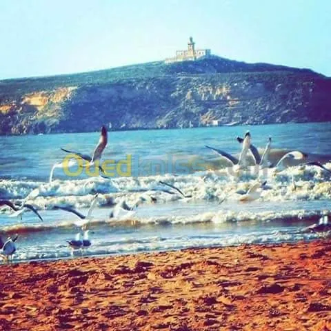 Location vacances Appartement F2 Ain temouchent Beni saf