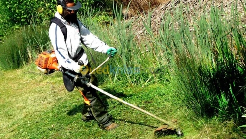 تهيئة المساحات الخضراء