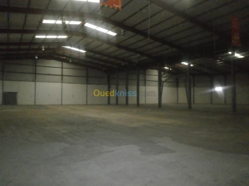Location Hangar Alger Cheraga