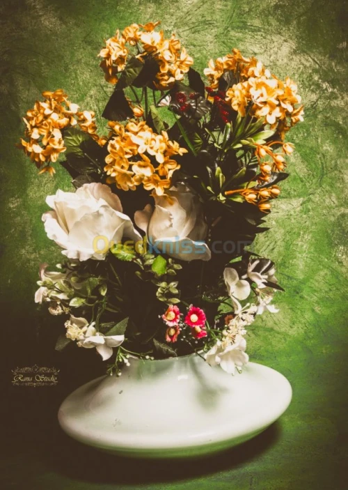 photographie shooting