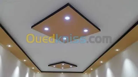 placoplatre et decoration