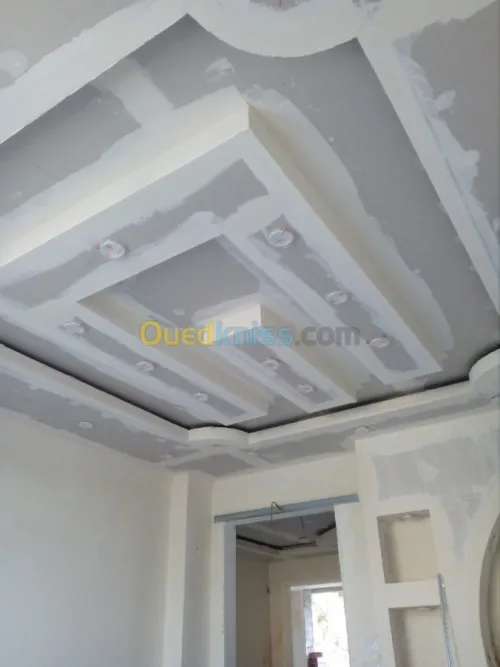 placoplatre et decoration