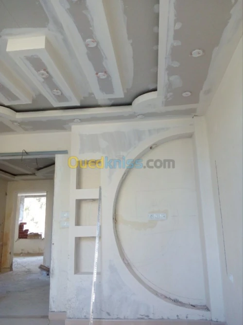 placoplatre et decoration