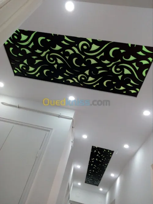 placoplatre et decoration