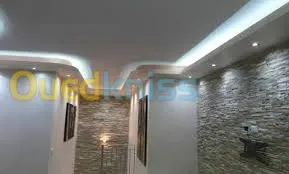 pose et decoration plafon mur mentager