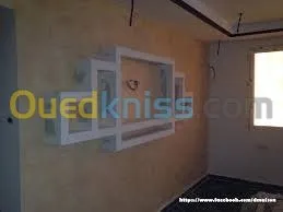 pose et decoration plafon mur mentager