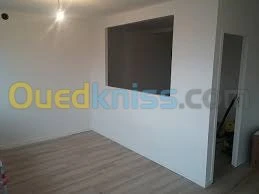 pose et decoration plafon mur mentager