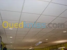 pose et decoration plafon mur mentager