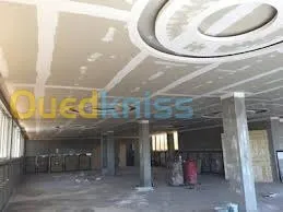 placoplâtre pvc plâre