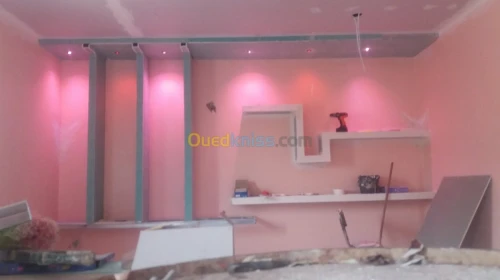 Tout teype de faux plafans 