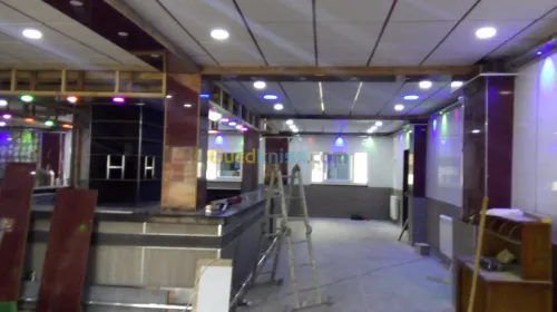 Tout teype de faux plafans 