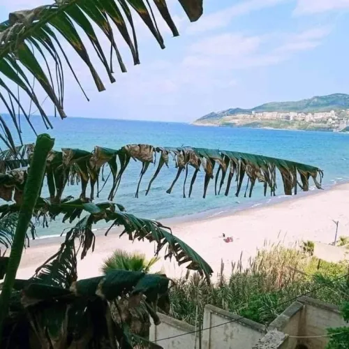 Location vacances Appartement F3 Tizi Ouzou Tigzirt