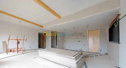 Travaux de Placo Plâtras 