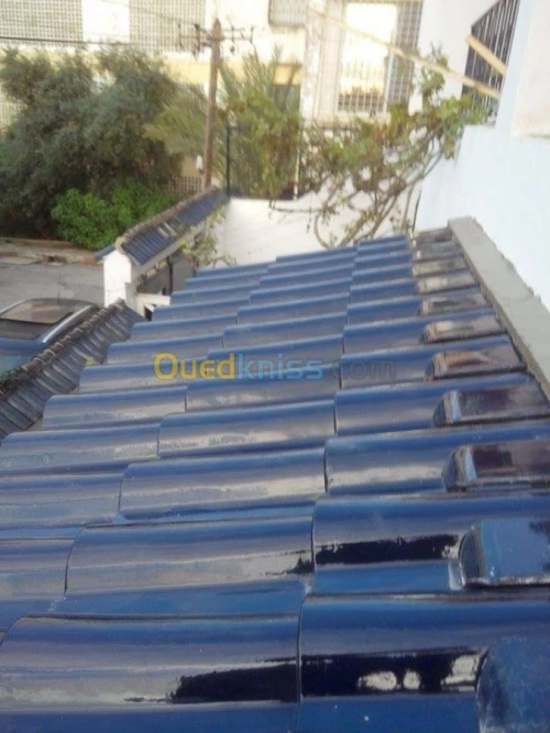 Charpentier  تركيب قرميد