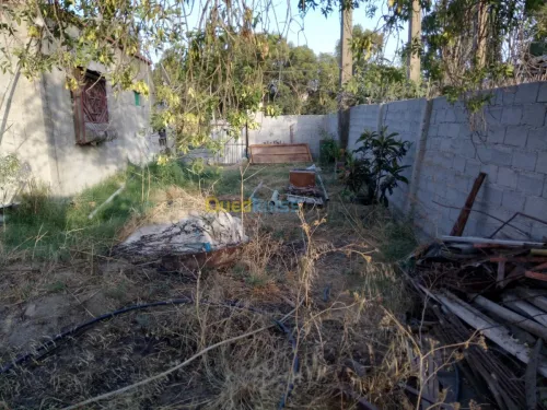 Vente Immeuble Constantine Hamma bouziane