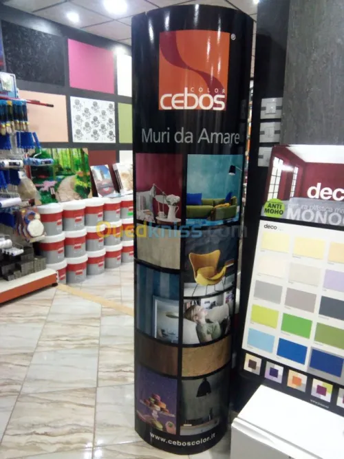 Peinte et décoration général