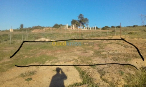 Vente Terrain Blida Bouinan