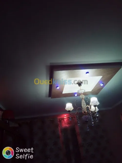 Faux plafond pvc / placo