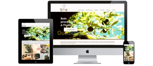 SITE WEB PROFESSIONNEL