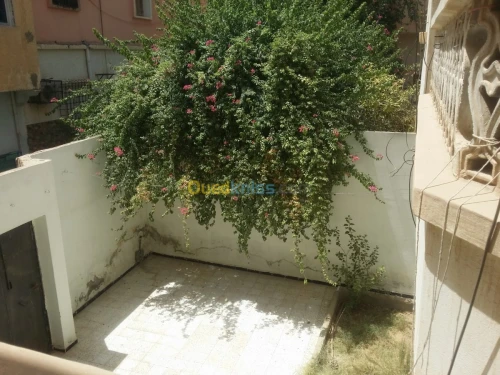 Vente Villa Biskra Biskra