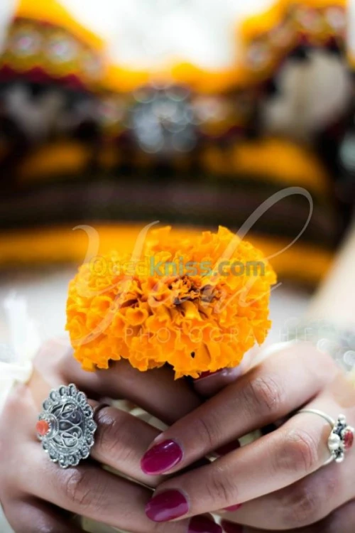 Photographe de mariage 