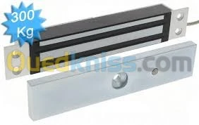 Ventouse Électromagnétique Porte coupe-feu 24/48V/BBG/control d'access
