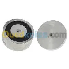 Ventouse Électromagnétique Porte coupe-feu 24/48V/BBG/control d'access