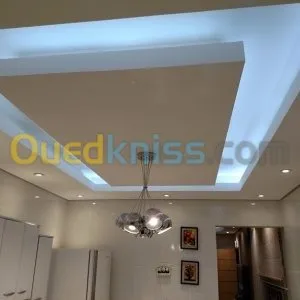 La pose de faux plafond simple et deco