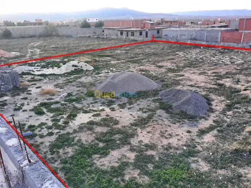 Vente Terrain Tebessa Hammamet