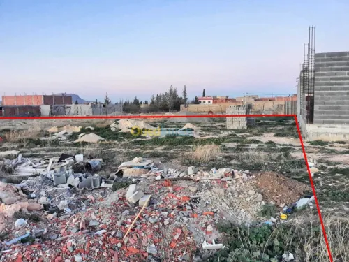 Vente Terrain Tebessa Hammamet