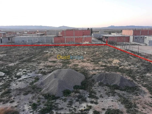 Vente Terrain Tebessa Hammamet