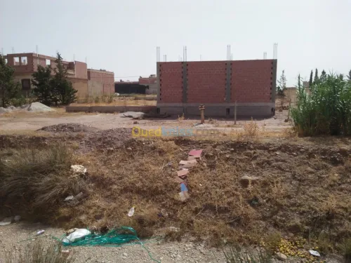 Vente Terrain Batna Ouled fadel