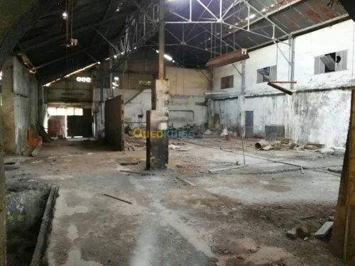 Vente Terrain Alger El harrach