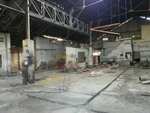 Vente Terrain Alger El harrach