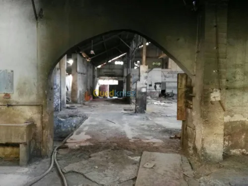 Vente Terrain Alger El harrach