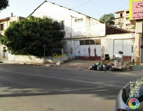 Vente Terrain Alger El harrach