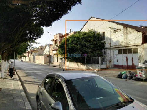 Vente Terrain Alger El harrach