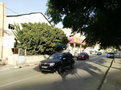 Vente Terrain Alger El harrach