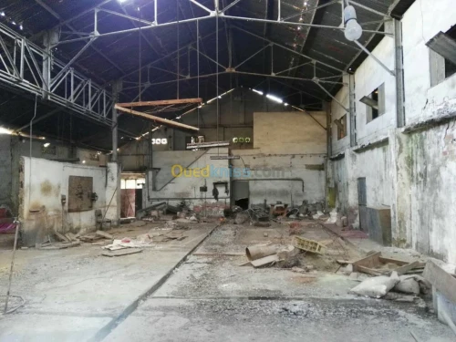 Vente Terrain Alger El harrach