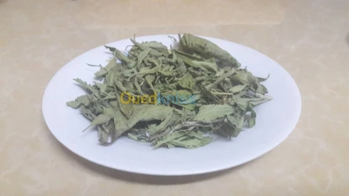   plantes medicinales (Stevia).
