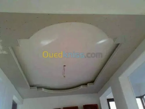 ديكورات بلاكوبلاتر BA13