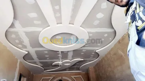 ديكورات بلاكوبلاتر BA13